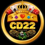 CD222 Game