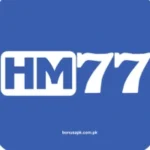 HM77 Game