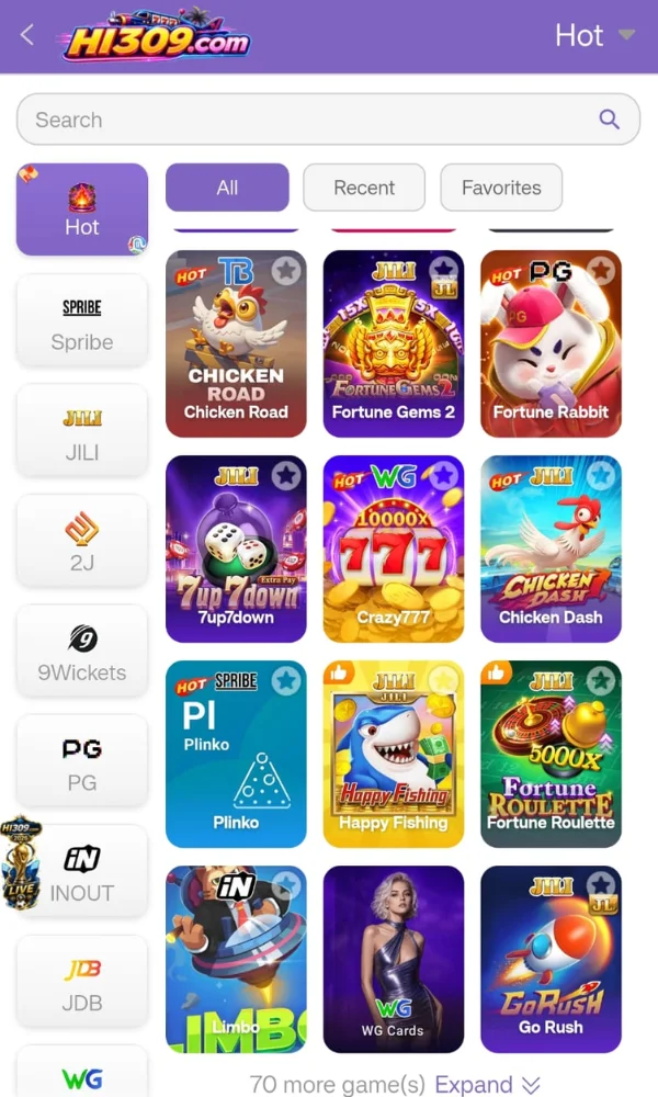 HI309 Game