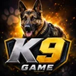 K9 Game