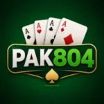 PAK804 Game