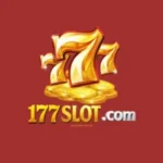 177slot Game