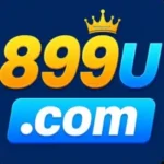 899U Game