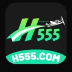H555 Game