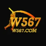 W567 Game