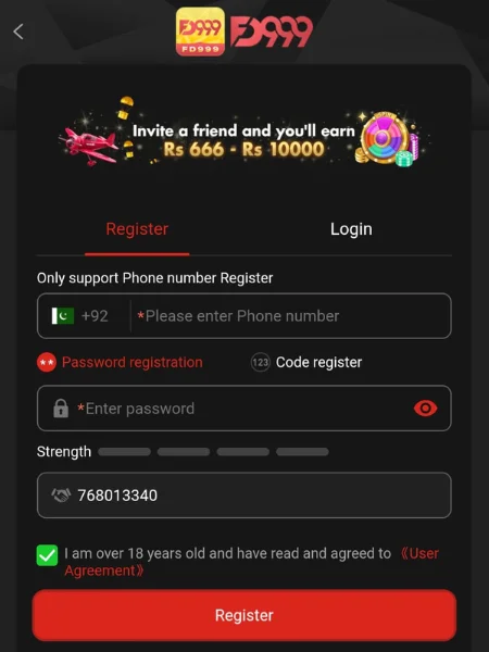 FD999 Game
